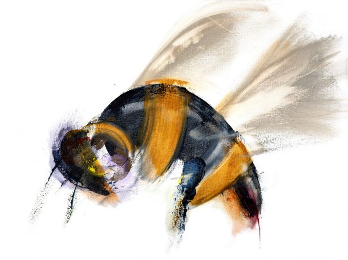 Bee